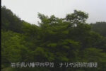 岩手山 ナリヤ沢のライブカメラ|岩手県八幡平市のサムネイル