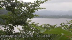 宮城県川崎町 釜房ダム 上流右岸のライブカメラ
