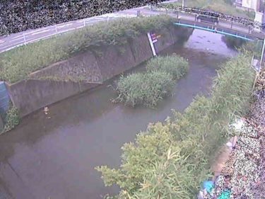 河内川 下河原橋のライブカメラ|神奈川県平塚市