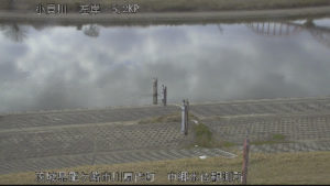 茨城県龍ケ崎市 小貝川 中郷水位のライブカメラ