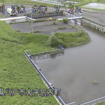 馬淵川 浅水のライブカメラ|青森県八戸市のサムネイル