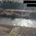前川ダム 河崎のライブカメラ|山形県上山市のサムネイル