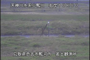 小鴨川 若土観測所のライブカメラ|鳥取県倉吉市