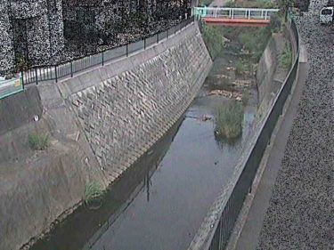 大岡川 埋田橋のライブカメラ|神奈川県横浜市のサムネイル