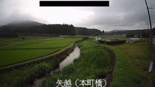 okawa-yagoshi_cap.jpg okawa-yagoshi_cap.jpg
