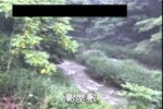 大股川 高屋敷のライブカメラ|岩手県住田町のサムネイル