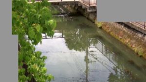 佐賀県佐賀市 大溝川 藤木橋のライブカメラ