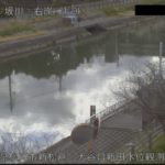 坂川 松戸市新松戸のライブカメラ|千葉県松戸市のサムネイル