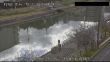 坂川 松戸市新松戸のライブカメラ|千葉県松戸市