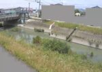 境川 副所江放水路のライブカメラ|佐賀県佐賀市のサムネイル