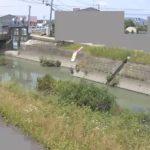 境川 副所江放水路のライブカメラ|佐賀県佐賀市のサムネイル