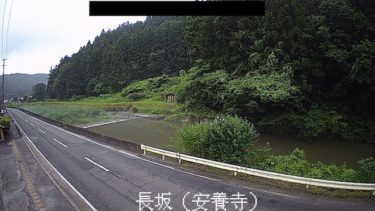 猿沢川 長坂（安養寺）のライブカメラ|岩手県一関市