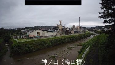千厩川 神の田（梅田橋）のライブカメラ|岩手県一関市