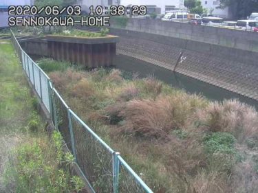 千ノ川 千ノ川橋のライブカメラ|神奈川県茅ヶ崎市