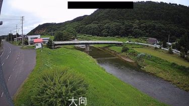 瀬月内川 大向のライブカメラ|岩手県九戸村