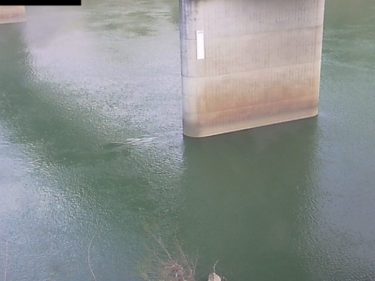 只見川 西谷橋3のライブカメラ|福島県金山町
