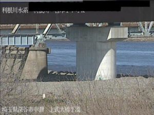 埼玉県深谷市 利根川 上武大橋下流のライブカメラ