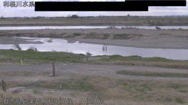 利根川 川俣のライブカメラ|群馬県明和町