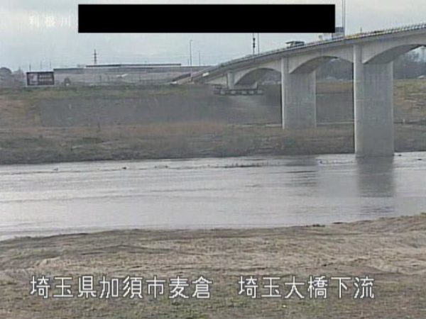 利根川 埼玉大橋下流のライブカメラ 埼玉県加須市