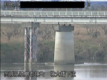 利根川 境大橋下流のライブカメラ|茨城県境町