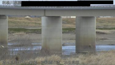 利根川 昭和橋上流 水位監視のライブカメラ|埼玉県羽生市