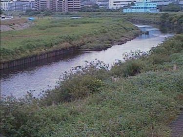 鶴見川 落合橋のライブカメラ|神奈川県横浜市