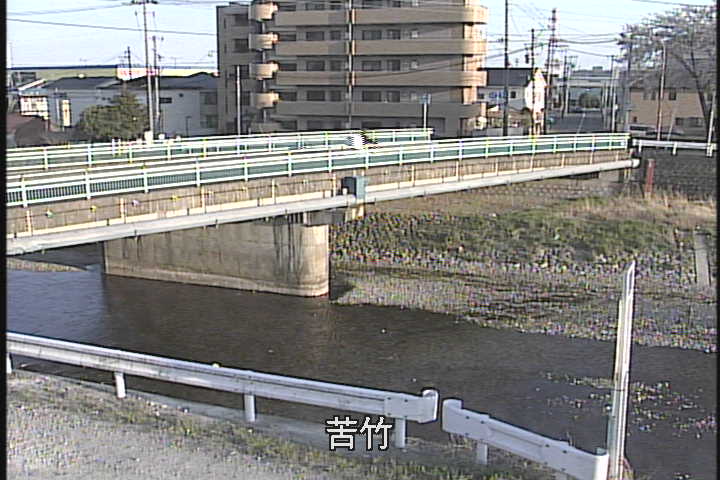 umedagawa-nigatake_cap.jpg umedagawa-nigatake_cap.jpg