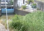 牛津江川 江津樋管のライブカメラ|佐賀県小城市のサムネイル