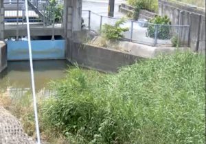 佐賀県小城市 牛津江川 江津樋管のライブカメラ