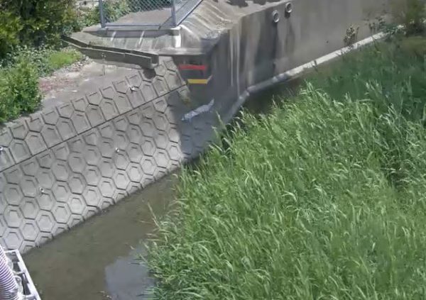 ushizuegawa-kakie-gp_cap.jpg 牛津江川 柿江樋管のライブカメラ|佐賀県小城市