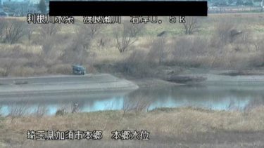 渡良瀬川 本郷水位のライブカメラ|埼玉県加須市