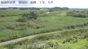 吉田川 粕川大橋下流のライブカメラ|宮城県大郷町
