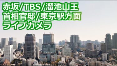 東京タワーのライブカメラ 東京都港区