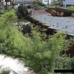 安里川 豊橋のライブカメラ|沖縄県那覇市のサムネイル