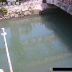 久茂地川 御成橋のライブカメラ|沖縄県那覇市のサムネイル