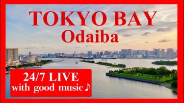 東京タワーのライブカメラ 東京都港区