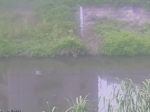 愛知県あま市 福田川 新居屋のライブカメラ