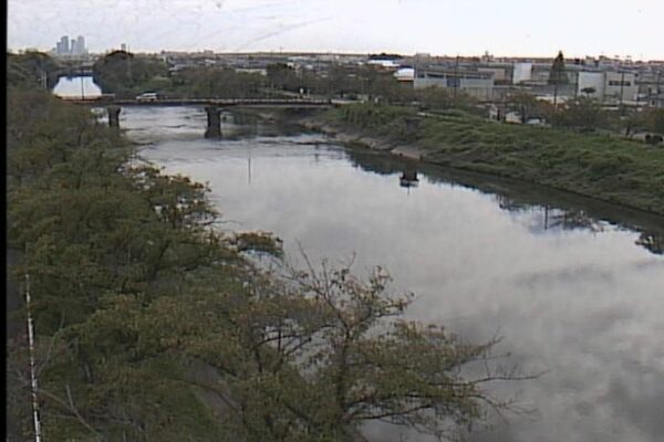 五条川 春日のライブカメラ 愛知県清須市