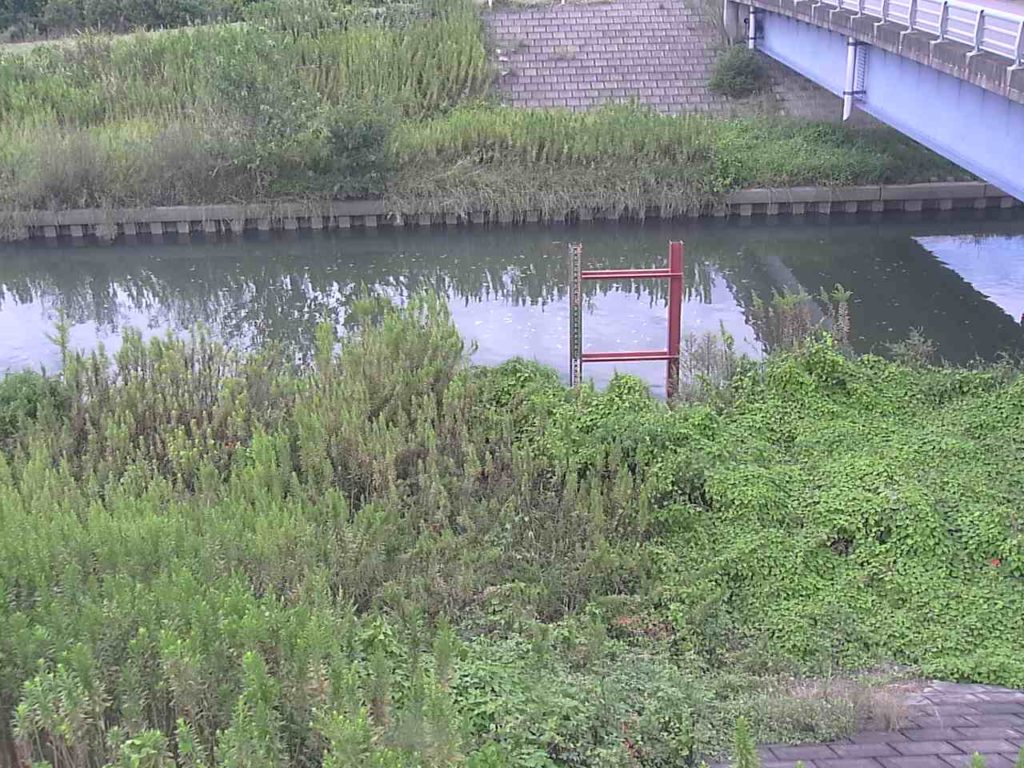 北浜川 北浜のライブカメラ|愛知県西尾市 北浜川 北浜のライブカメラ|愛知県西尾市