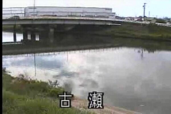 日光川 古瀬のライブカメラ|愛知県愛西市 日光川 古瀬のライブカメラ|愛知県愛西市