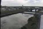 新川 水場川のライブカメラ|愛知県清須市のサムネイル