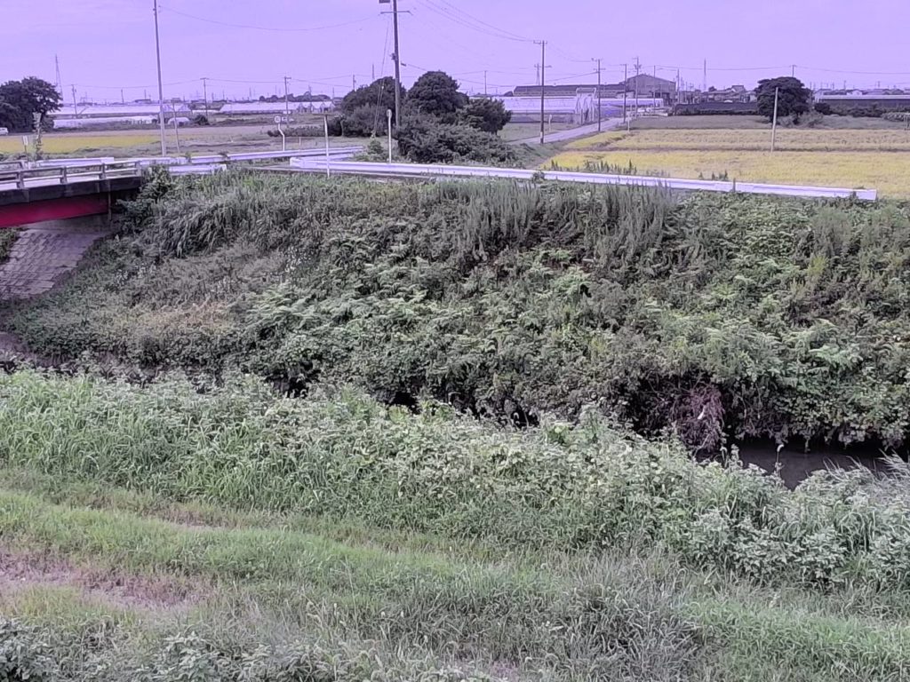 矢崎川 桑原のライブカメラ|愛知県西尾市 矢崎川 桑原のライブカメラ|愛知県西尾市