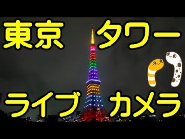 東京タワー麻布・芝公園のライブカメラ|東京都港区