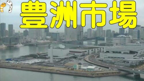 豊洲市場と晴海ふ頭のライブカメラ|東京都港区のサムネイル