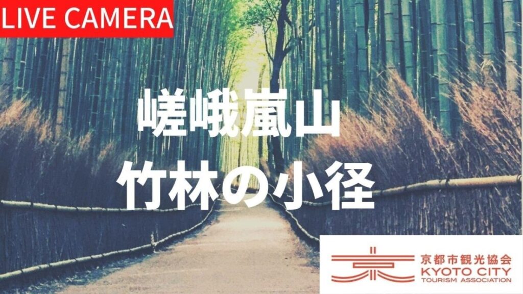 嵯峨嵐山・竹林の小径のライブカメラ|京都府京都市 嵯峨嵐山・竹林の小径のライブカメラ|京都府京都市