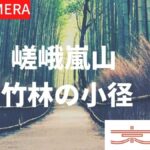 嵯峨嵐山・竹林の小径のライブカメラ|京都府京都市のサムネイル