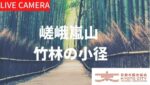 嵯峨嵐山・竹林の小径のライブカメラ|京都府京都市のサムネイル