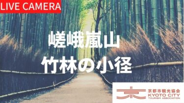 嵯峨嵐山・竹林の小径のライブカメラ|京都府京都市