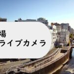 神田川 高田馬場のライブカメラ|東京都新宿区のサムネイル