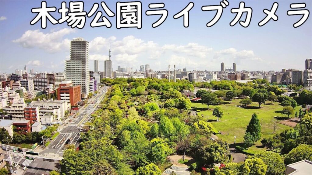 木場公園のライブカメラ|東京都江東区 木場公園のライブカメラ|東京都江東区